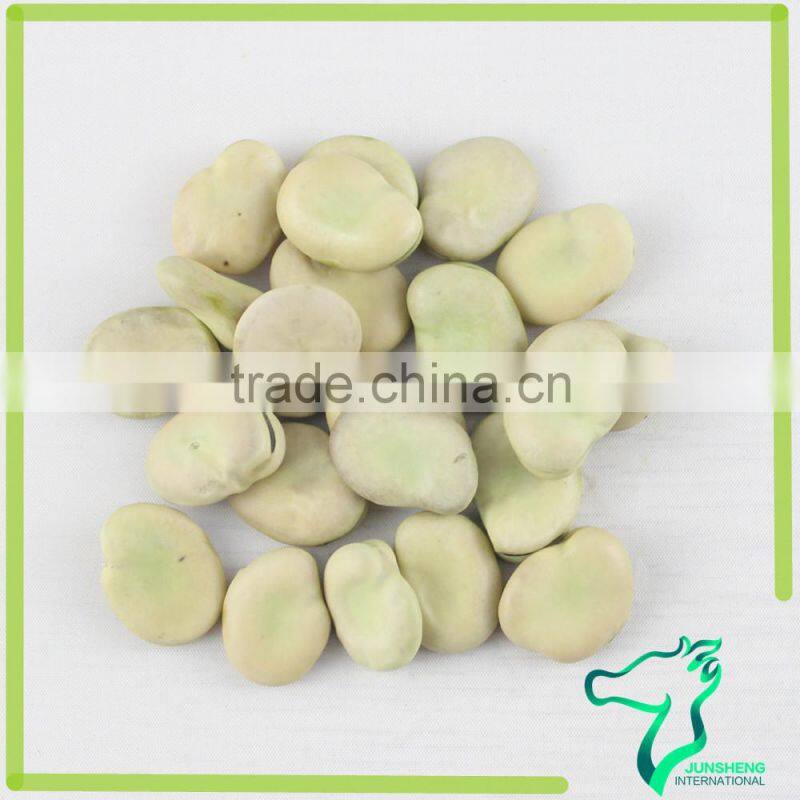 Broad Beans 70-80pcs For Canned