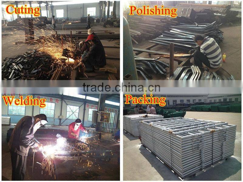 DM PVC Dirickx fence ( Golden supplier)
