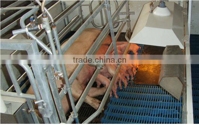farrowing crate for sale poultry farm