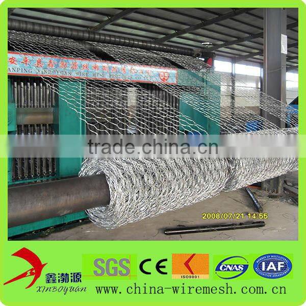 Chain Link Mesh Type and Low-Carbon Iron Wire Material Electro Galvanized Hex Wire Netting