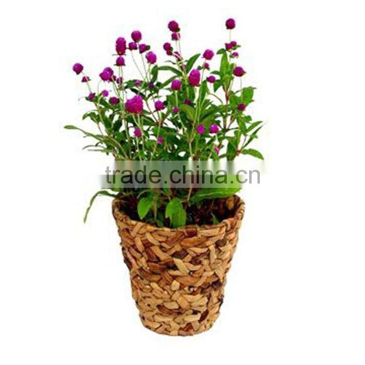 Indoor decorative flower planter water hyacinth woven small plant pot