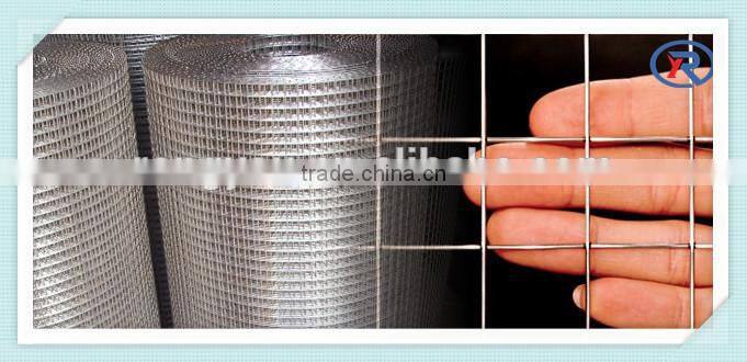 galv. square welded wire netting/wire mesh fence
