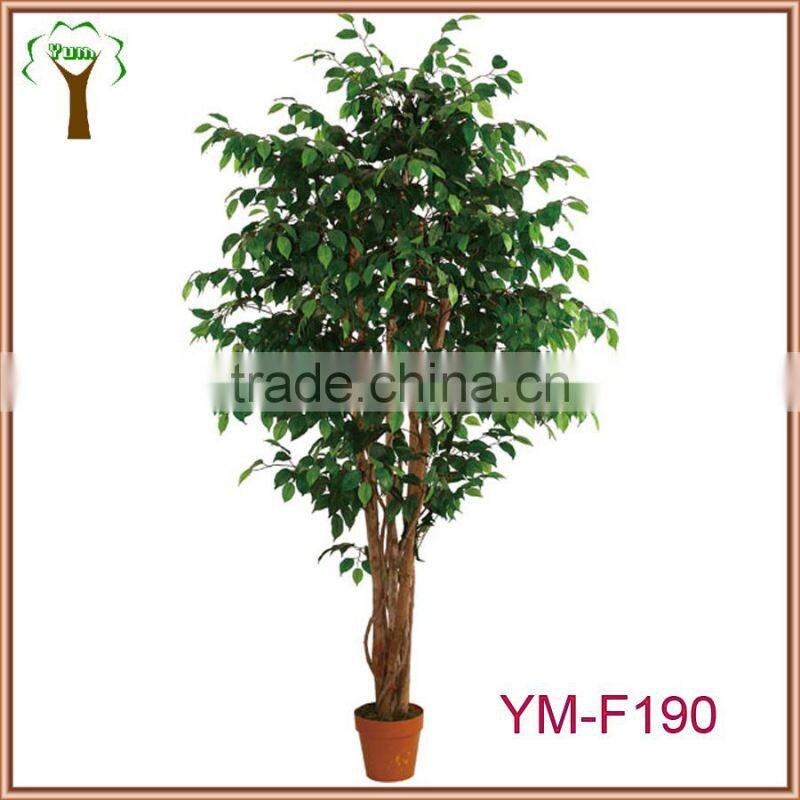 Classical artificial ficus tree hot sale