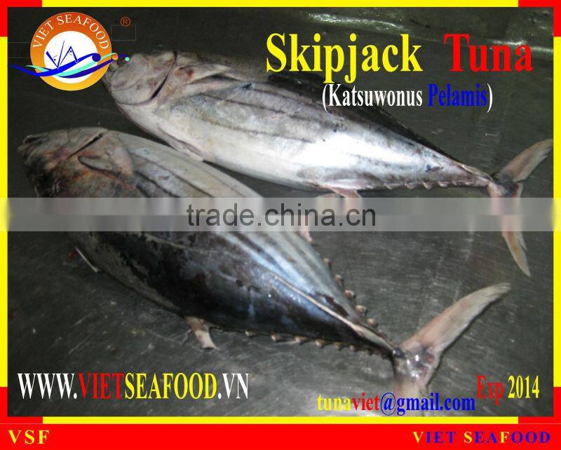 FROZEN W/R SKIPJACK TUNA