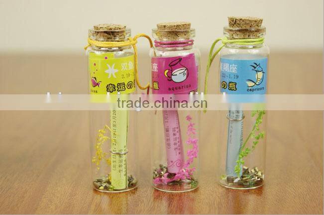 Mini Glass Cork Wishing Bottles Small Glass Wishing Bottle for Best Birthday Gifts