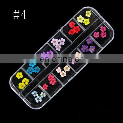Factory wholesale dry flower nail art for dried flowers sale