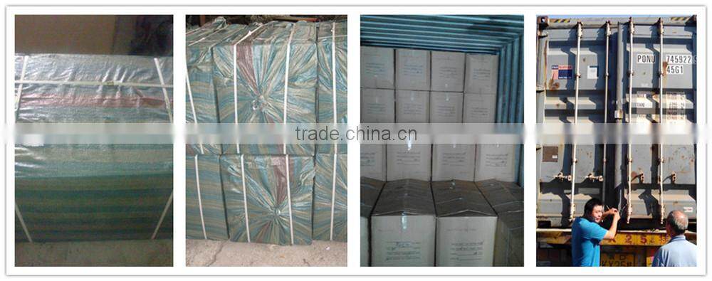 2015 hot sale winter fashion earmuffs