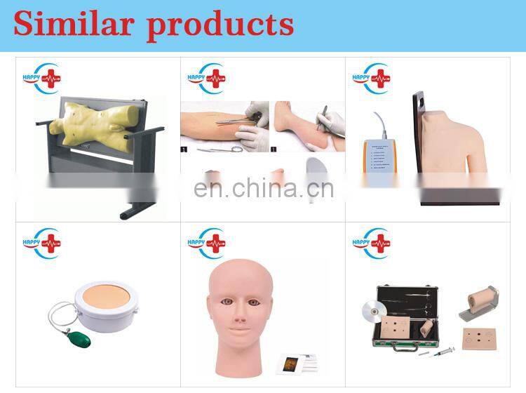 HC-S521 Clinical teaching prostate model male life-size prostate examination teaching model