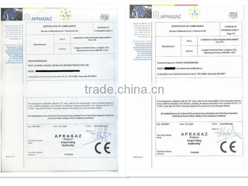 Leader Ps Foam Sheet Plastic Extruder Machine