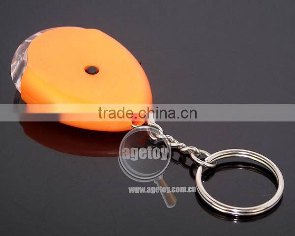 Key Ring with Light