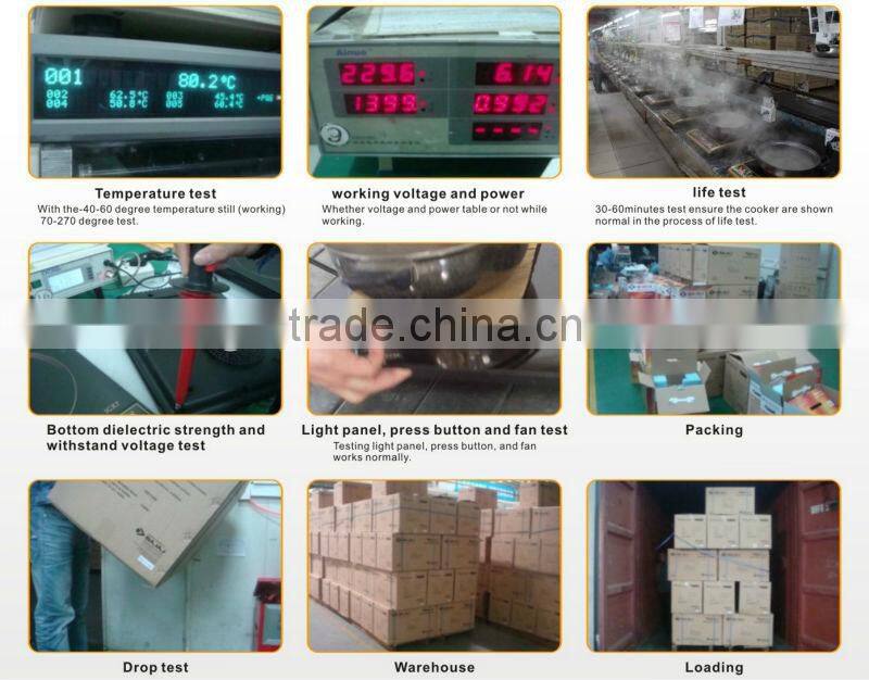 Dubai professional electrical appliances/Plastic double induciton cooker