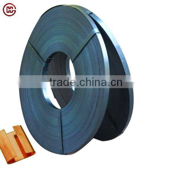 Stainless steel strip