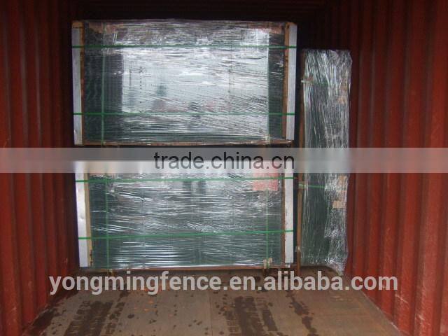 Cheap double wire mesh garden fencing