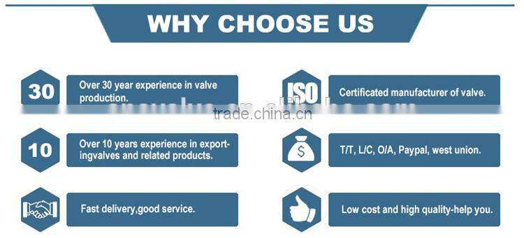 extension bar wafer butterfly valve