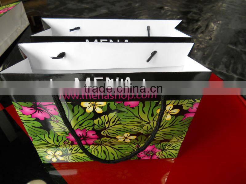 2013 New Luxury Paper Shopping Bag