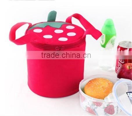 insulated lunch bag, beautiful lunch bag, igloo cooler bag