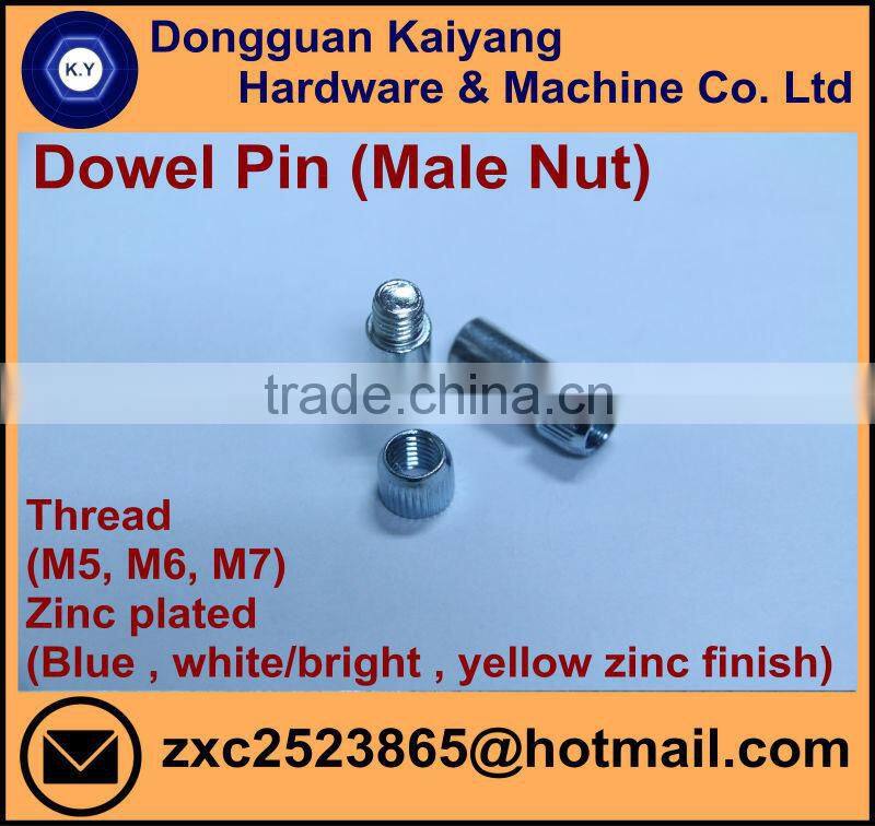 Insert Nut/ Wood Insert Nut / Hex Socket (Furniture Fastener); Bright(White)/Blue/Yellow Zinc Plated; M6, M8, M10