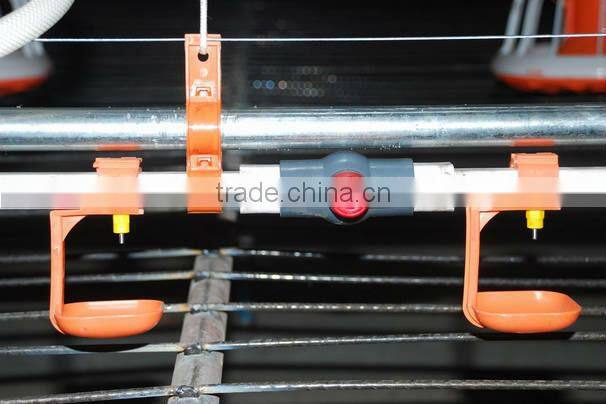 automatic chicken/poultry farm ewuipment