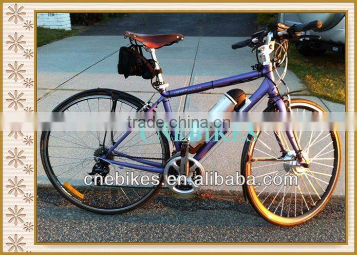 brushless gear hub motor 36V 250W electric bicycle conversion kit with battery