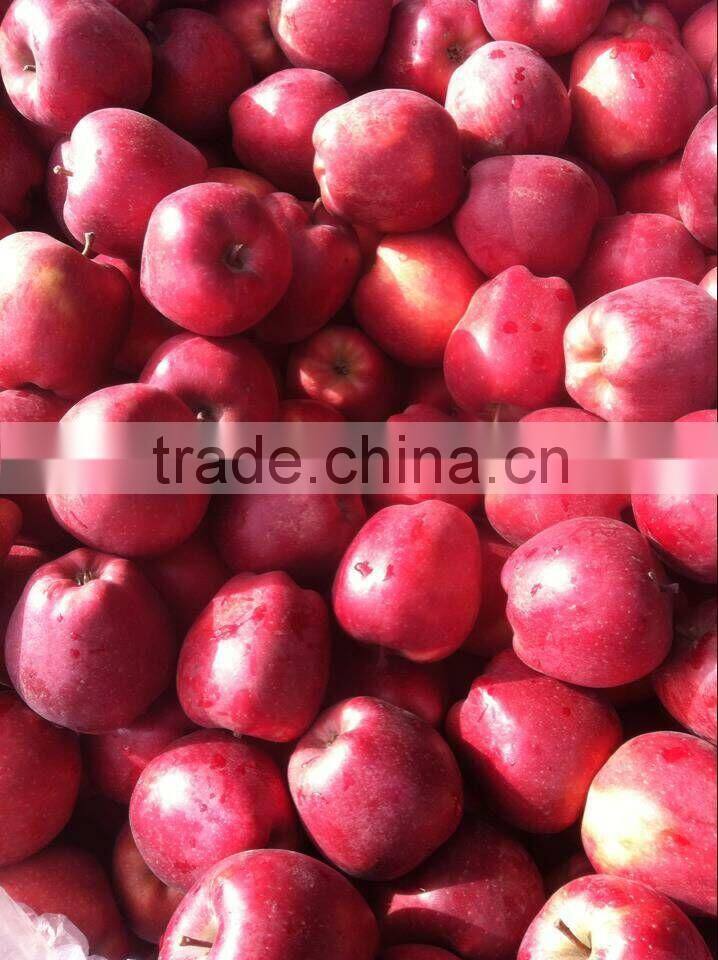 chinese red fuji apple suitable for long time shipment