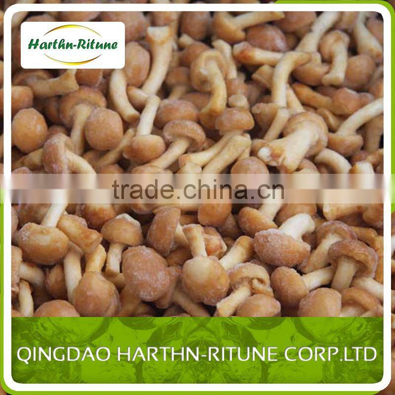 Bulk Frozen nameko mushroom nameko