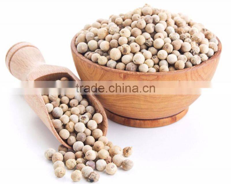 Indian WhitePepper Exporters