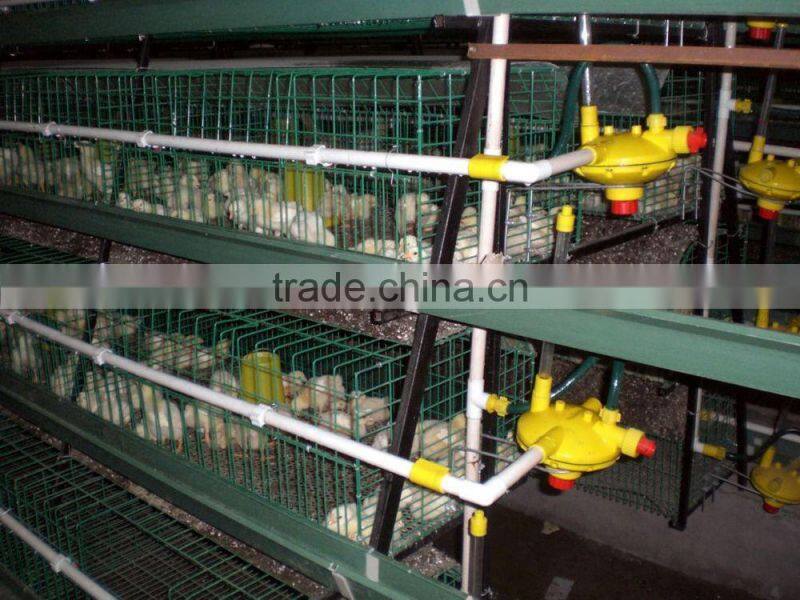 chicken cage for poultry farm for nigeria with best price