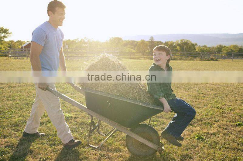 Excellent quality children pedal tricycle Pedal tricycle for kids Children's three wheels bike TC0101A