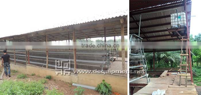TA NO.1 lagos sample 120 birds a type poultry battery cage for nigerian farm