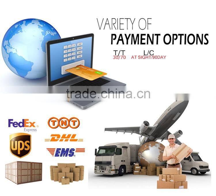 CE GS Elastic Tie Down belt ratchet tie down metal ratchet strap cheap ratchet straps