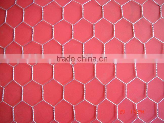 Low cost hexagonal netting /chicken wire mesh/ poultry hexagonal netting for sale
