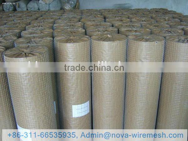Chicken Coop welded mesh / Welded wire mesh mew product / Welded wire mesh for birds cage