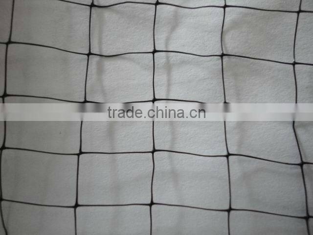 Bop netting ,Plastic mesh,Bop stretched netting,trellis netting(China factory)