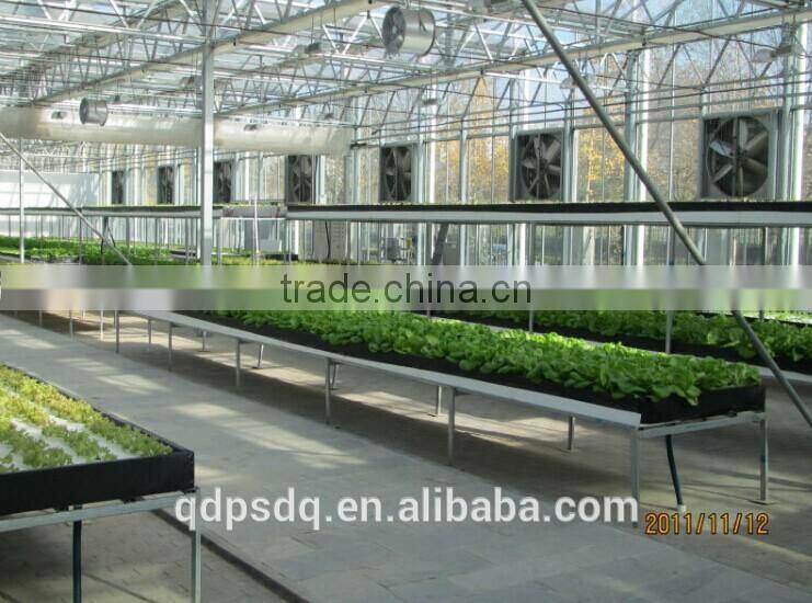 Best Quality Push-pull/heavy hammer Greenhouse Exhaust Fan