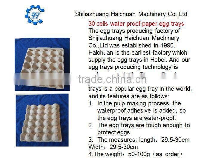 paper molded paper fruit pulp packing