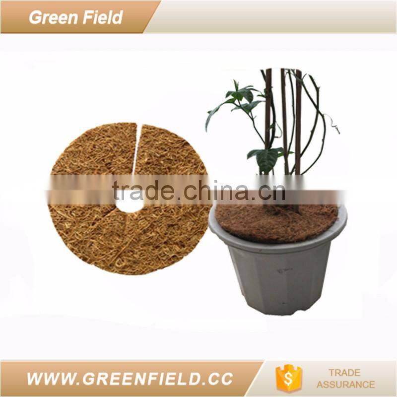 Flower pot disc natural garden bio coco disc
