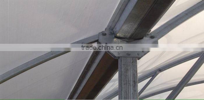 Single-Span Hot-Dip Galvanized Steel Pipe Frame 200mm PVC Film Covered Greenhouse