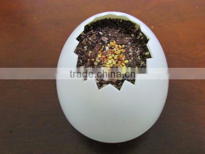 Office desk flower pots,plastic decorative flower pots,plastic flower pots from china