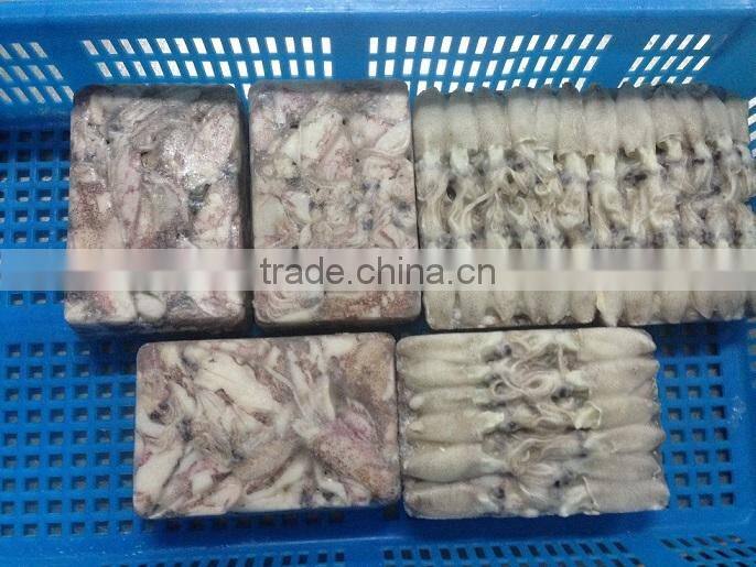 500g BQF Baby squid