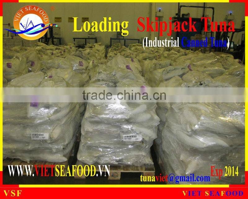LOADING FROZEN SKIPJACK TUNA