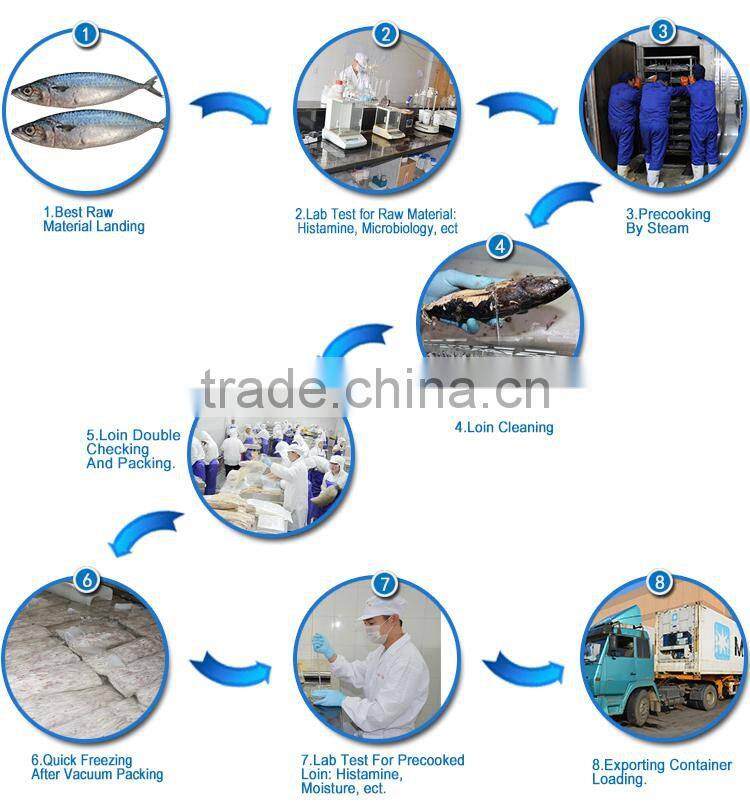 Hot Sale With Dark Meat Types of Fish Fillets