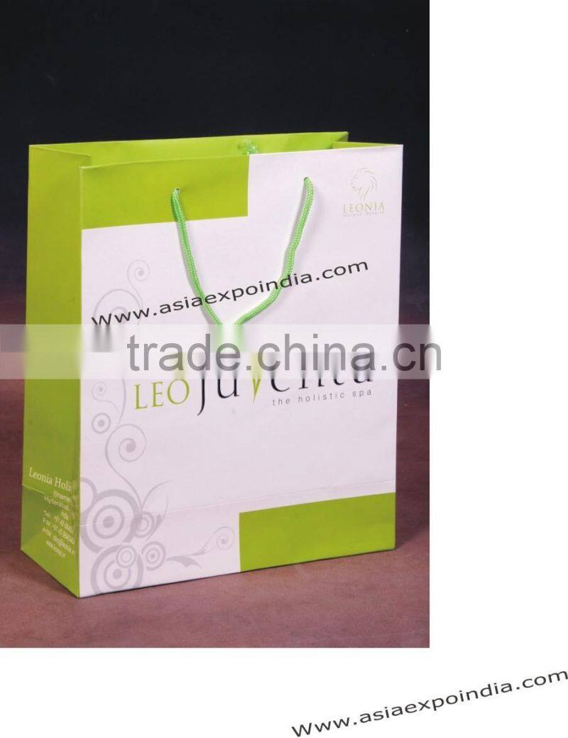 Paper Bags with Glossy finish and rope handles
