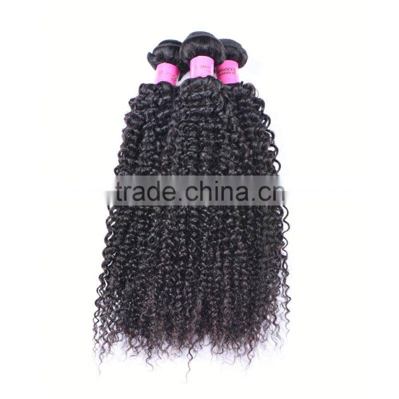 wholesale virgin hair vendors fast shipping Malaysian curly hair