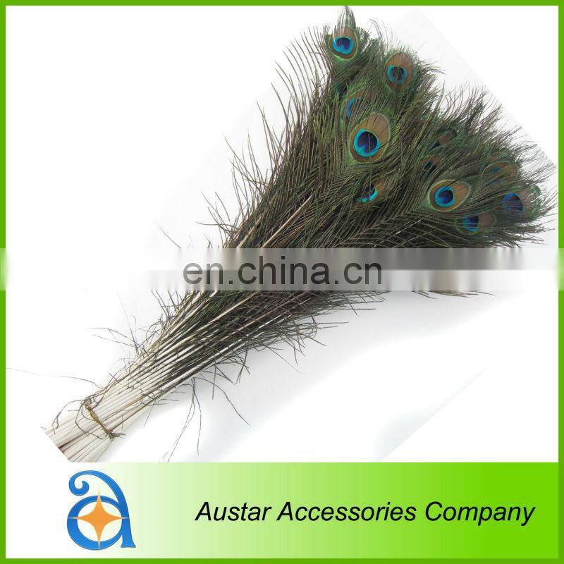 High Quality Peacock Feather Pieces FOR Decorative