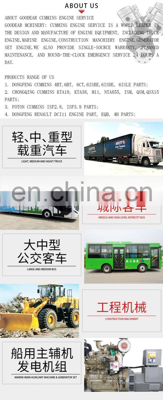 6BT Diesel Engine Parts V-Ribbed Belt 3925953