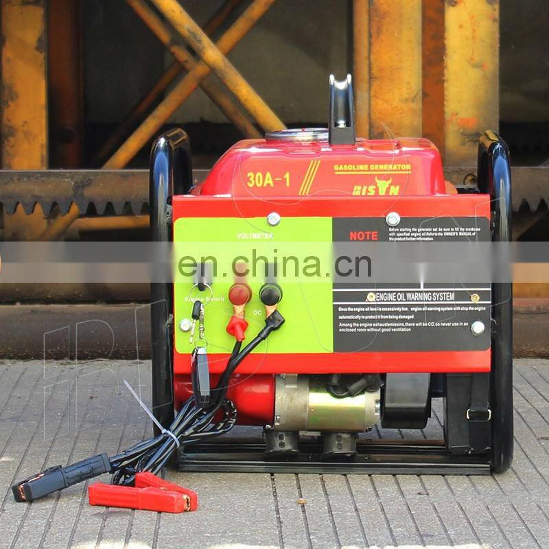 Bison Brushless DC Generator DC Motor 48v Generator