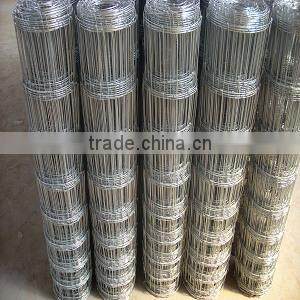 cattle fence(good manufacture)