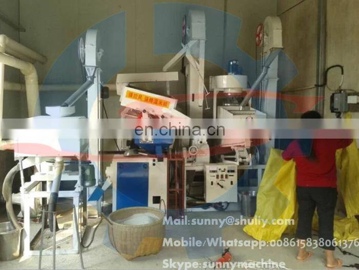 Professional auto rice mill/portable rice milling machine/mini rice mill plant