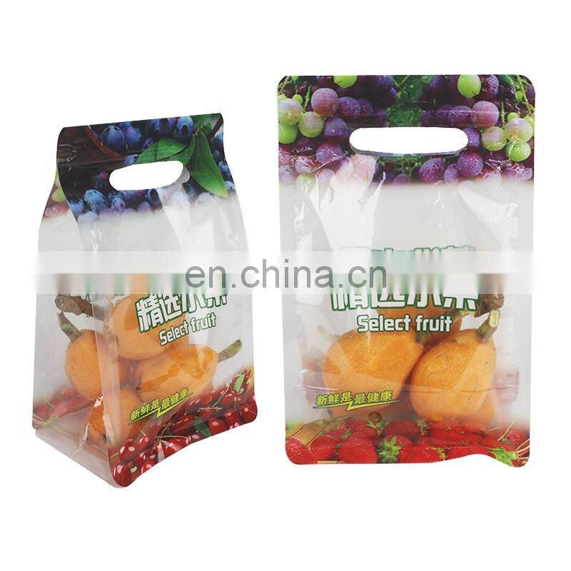 Resealable bags zip lock fruit packaging bags for grape cherry with handles