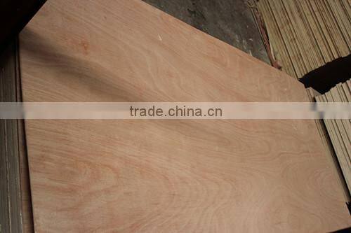 best quality fancy ash plywood 1220*2440*2-18mm